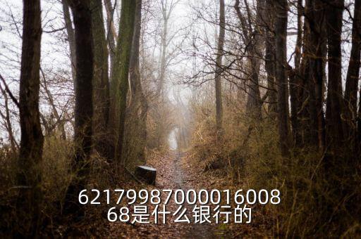 中債資信屬于什么銀行，6217998700001600868是什么銀行的