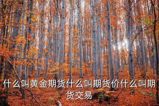 什么是期貨價，什么叫黃金期貨什么叫期貨價什么叫期貨交易