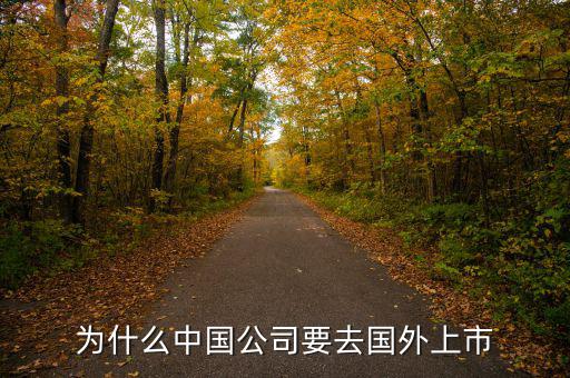 中國企業(yè)為什么要在境外上市，為什么有公司要到境外上市