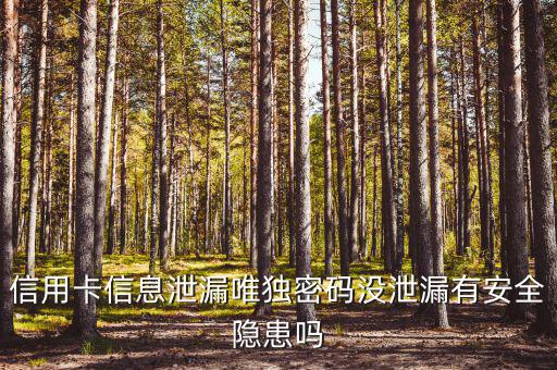 信用卡信息泄露有什么風(fēng)險，信用卡信息泄漏唯獨密碼沒泄漏有安全隱患嗎