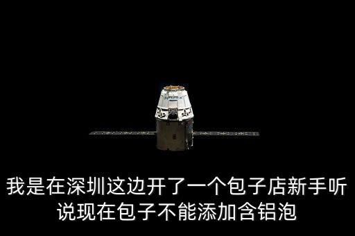 包子禁止添加什么，我是在深圳這邊開了一個包子店新手聽說現(xiàn)在包子不能添加含鋁泡