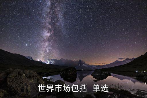 世界市場包括什么，世界上分哪些市場