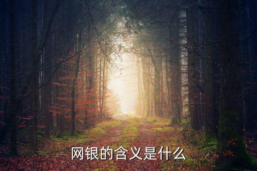 網(wǎng)銀存入代表什么意思，網(wǎng)銀的含義是什么