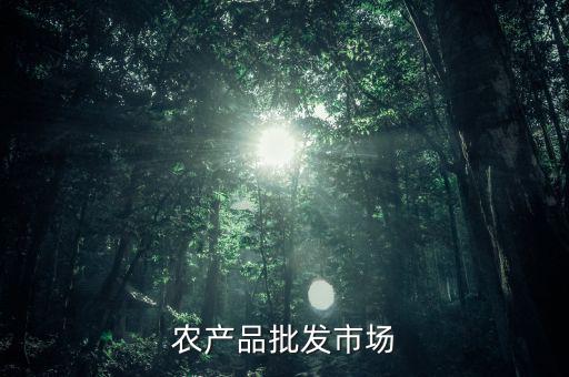 什么是公益性農(nóng)產(chǎn)品批發(fā)市場(chǎng)，談?wù)勅绾渭訌?qiáng)和完善公益性農(nóng)貿(mào)市場(chǎng)建設(shè)