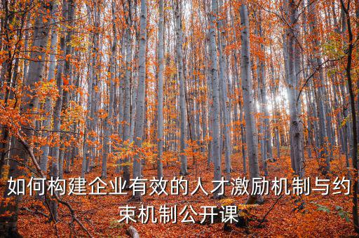 財務(wù)激勵與約束機(jī)制的設(shè)計原則是什么，財務(wù)激勵約束機(jī)制的概念是什么
