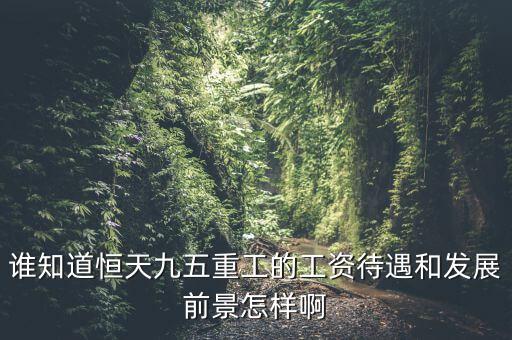 恒天九五什么時(shí)候上市，誰知道恒天九五重工的工資待遇和發(fā)展前景怎樣啊