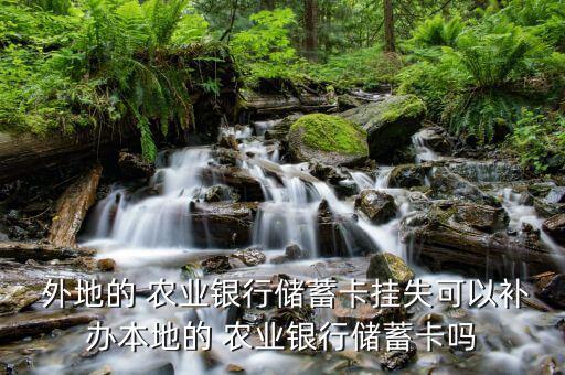 外地農業(yè)銀行卡丟了怎么辦,農行信用卡遺失補卡不能異地補辦