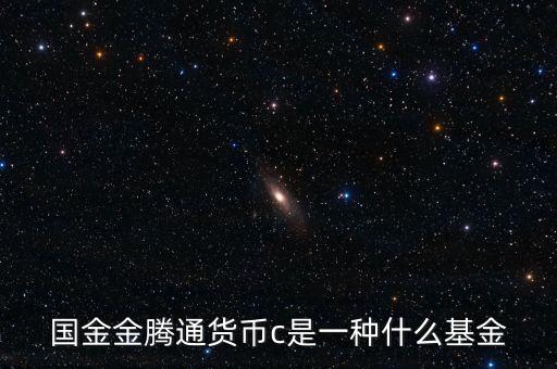 國(guó)金金騰通貨幣c是一種什么基金
