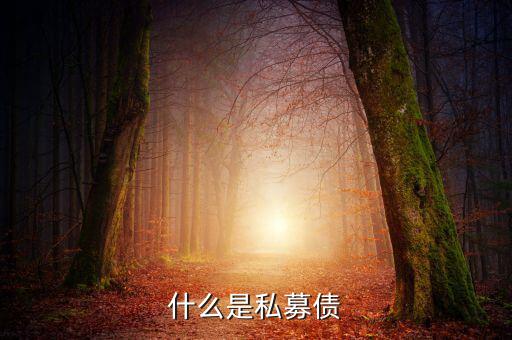 什么是小貸公司私募債，什么是私募債