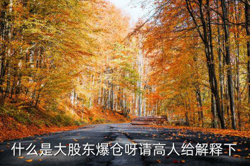什么是大股東爆倉呀請(qǐng)高人給解釋下