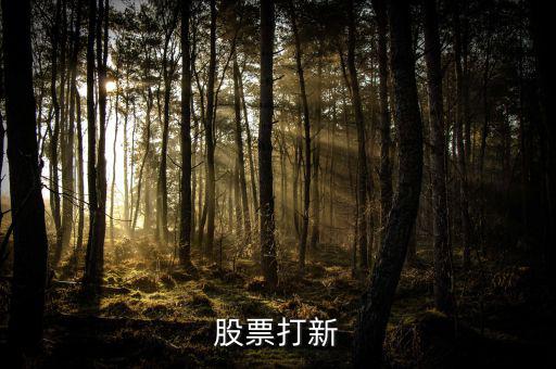 國(guó)金手機(jī)怎么查打新,新股網(wǎng)上申購(gòu)三步驟:點(diǎn)擊交易選項(xiàng)