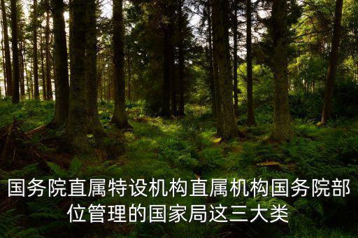 國務院直屬特設機構直屬機構國務院部位管理的國家局這三大類