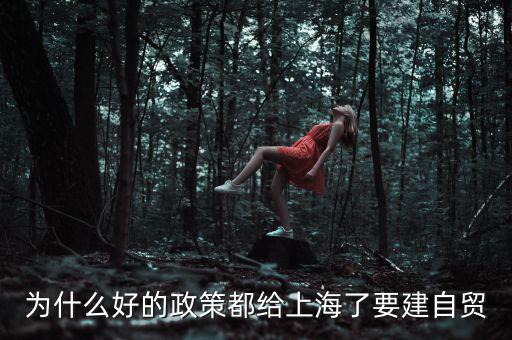 為什么要設(shè)立上海自貿(mào)區(qū)，上海自貿(mào)區(qū)成立的目的