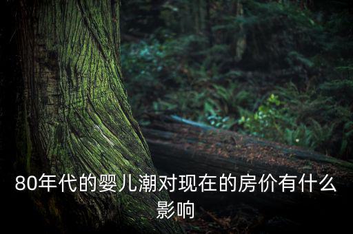 嬰兒潮會催生什么產(chǎn)業(yè)，80年代的嬰兒潮對現(xiàn)在的房價有什么影響
