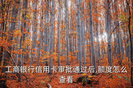 工行授信怎么查,您簽訂易貸協(xié)議后可通過各渠道查詢貸款額度