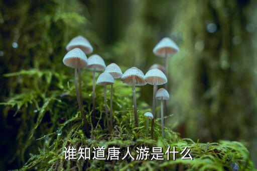 唐人數(shù)碼是干什么的，唐人游是什么