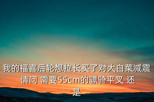 我的福喜后輪想拉長(zhǎng)買了對(duì)大白菜減震 請(qǐng)問 需要55cm的驃騎平叉 還是