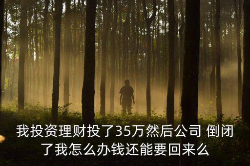 我投資理財(cái)投了35萬(wàn)然后公司 倒閉了我怎么辦錢還能要回來(lái)么