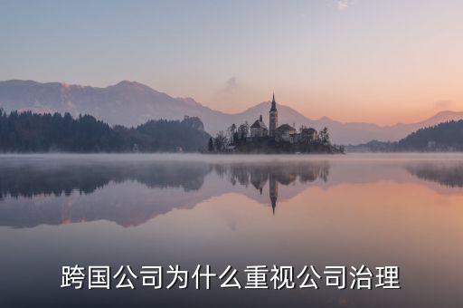為什么要公司治理，索尼公司為何要進行公司治理改革