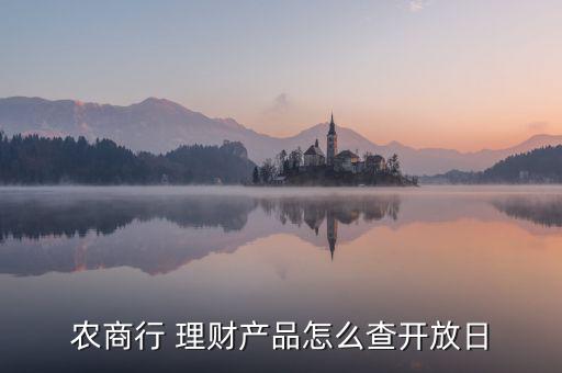 理財產品每日當期公告怎么查,理財-新產品信息查詢方法如下