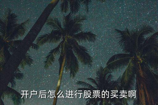開(kāi)戶后怎么進(jìn)行股票的買(mǎi)賣啊