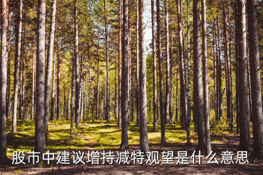 股票建議增持什么意思，股市中建議增持減特觀望是什么意思