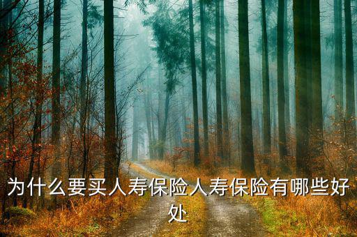 為什么買人壽，生意人為什么要買人壽保險