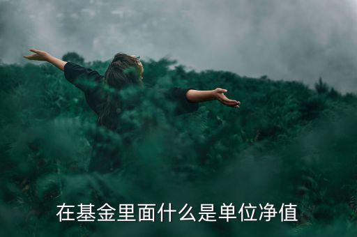 什么是基金單位凈值，基金單位凈值是什么意思