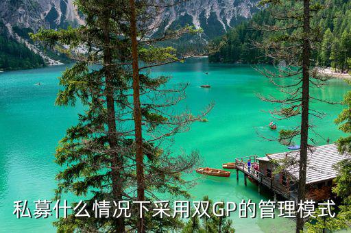 雙gp基金是什么，私募什么情況下采用雙GP的管理模式