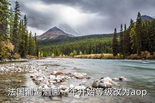 法國(guó)發(fā)生什么改革，法國(guó)葡萄酒哪一年開始等級(jí)改為aop