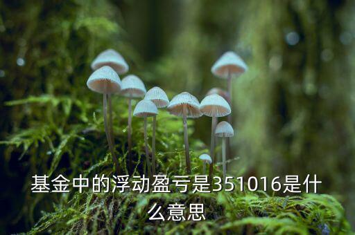 基金的浮動(dòng)盈虧是什么意思，基金中的浮動(dòng)盈虧是351016是什么意思