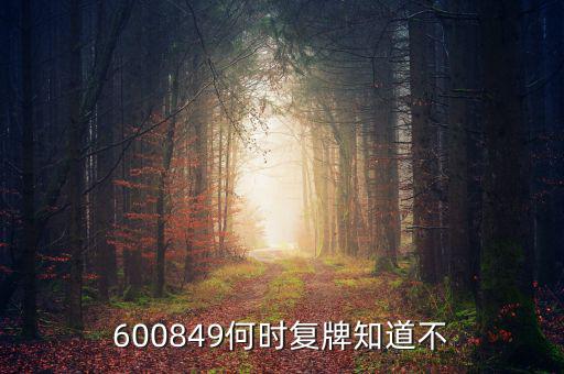 儀電b股什么時(shí)候復(fù)牌，600849何時(shí)復(fù)牌知道不