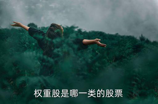 權(quán)重股是什么意思，權(quán)重股是哪一類的股票