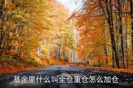什么是基金加倉，基金里什么叫全倉重倉怎么加倉