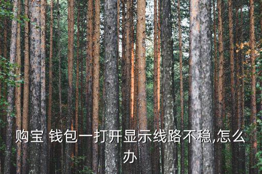 購(gòu)寶 錢(qián)包一打開(kāi)顯示線路不穩(wěn),怎么辦
