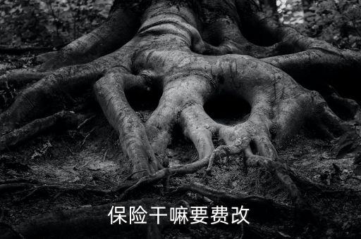 什么是費改產(chǎn)品，移動營業(yè)廳不能由用戶老產(chǎn)品轉(zhuǎn)換成當(dāng)前產(chǎn)品什么意思