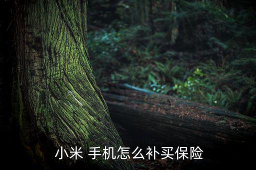 小米手機(jī)意外險怎么買,手機(jī)買了沒有買保險怎么辦?