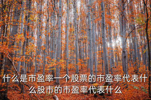 平均市盈率說明什么，什么是市盈率一個(gè)股票的市盈率代表什么股市的市盈率代表什么