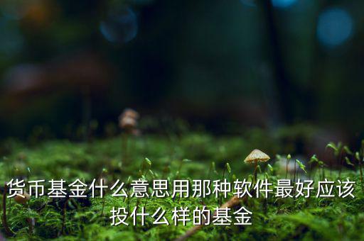 貨幣基金t什么意思，貨幣基金贖回時(shí)間T3是什么意思