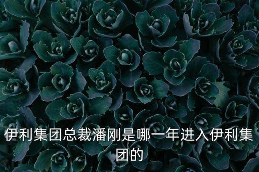 潘剛什么背景，潘剛是哪里人啊