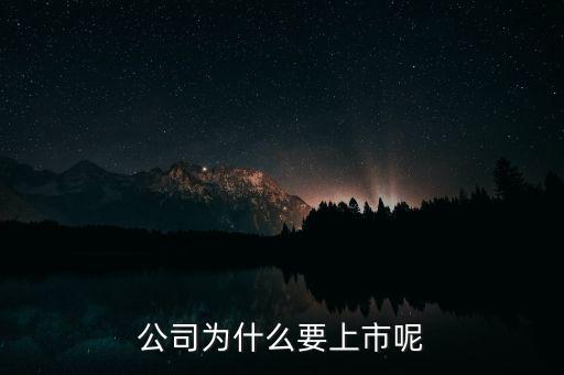 公司為什么上市，公司為什么要上市呢