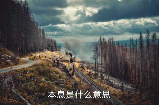 本息兌付什么意思，請(qǐng)問(wèn)兌付是什么意思啊