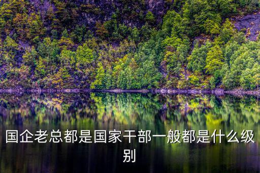 中交地產(chǎn)總經(jīng)理屬于什么級別干部，國企老總都是國家干部一般都是什么級別