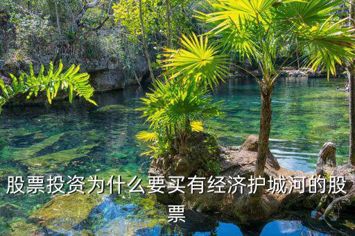 什么是股票投資的護(hù)城河理論，從基本面看證券投資的護(hù)城河是指哪幾類情況