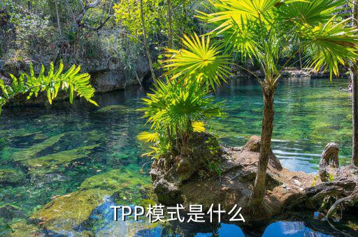 tpp什么時候生效，TPP文件時什么東西