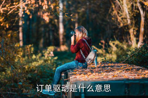 投資驅(qū)動(dòng)是什么意思，驅(qū)動(dòng)是什么意思