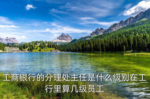 銀行分理處值班經(jīng)理是什么職位，工商銀行的分理處主任是什么級別在工行里算幾級員工