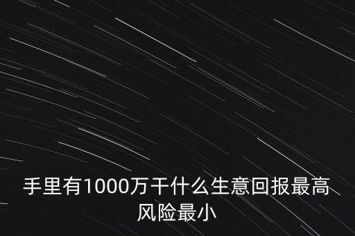 1000萬投資什么生意，手里有1000萬干什么生意回報最高風(fēng)險最小