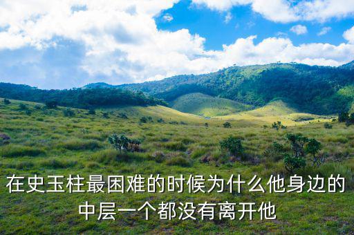 史玉柱為什么辭職，巨人史玉柱破產(chǎn)的原因是什么