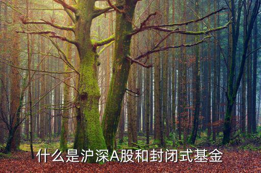 什么是上證封閉基金，請問什么是上海封閉式基金操作跟股票一樣嗎